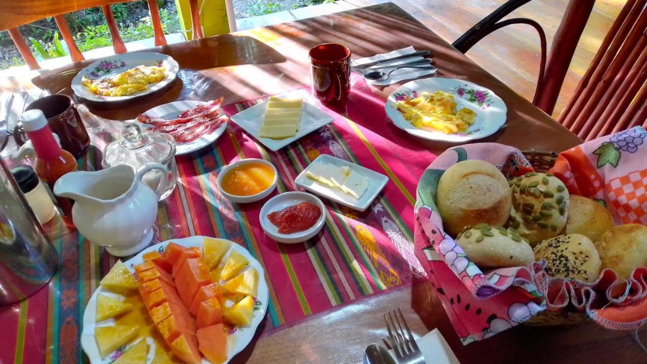Sun Creek Lodge 푼타 고르다 외부 사진