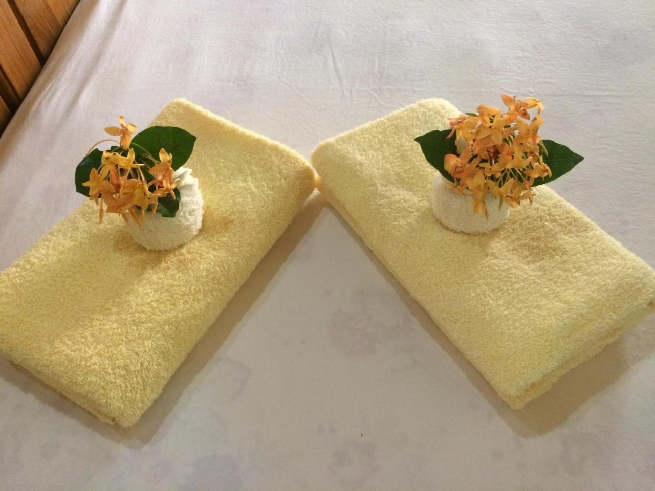 Sun Creek Lodge 푼타 고르다 외부 사진